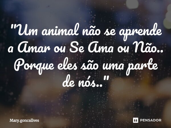 ⁠"Um animal não se aprende a Amar ou Se Ama ou Não.. Porque eles são uma parte de nós.."... Frase de Mary.goncallves.