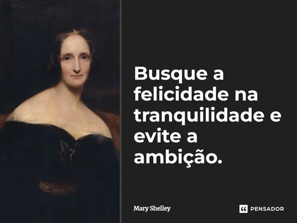 Busque a felicidade na tranquilidade e evite a ambição.... Frase de Mary Shelley.