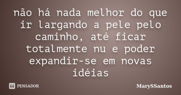 não há nada melhor do que ir largando a pele pelo caminho, até ficar totalmente nu e poder expandir-se em novas idéias... Frase de MarySSantos.