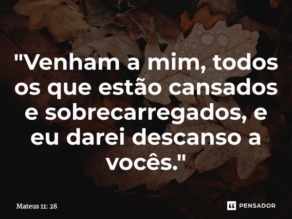 ⁠"Venham a mim, todos os que estão cansados e sobrecarregados, e eu darei descanso a vocês."... Frase de Mateus 11: 28.