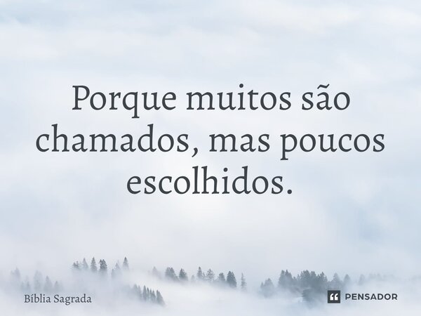 Porque muitos são chamados, mas poucos escolhidos.... Frase de Bíblia Sagrada.