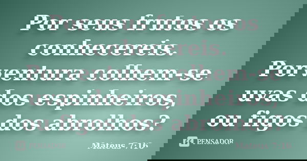 Por seus frutos os conhecereis. Porventura colhem-se uvas dos espinheiros, ou figos dos abrolhos?... Frase de Mateus 7:16.