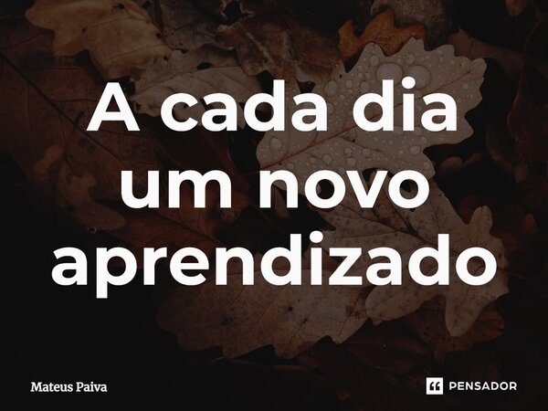 ⁠A cada dia um novo aprendizado... Frase de Mateus Paiva.