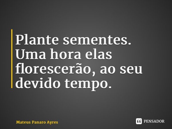 ⁠Plante sementes. Uma hora elas florescerão, ao seu devido tempo.... Frase de Mateus Panaro Ayres.