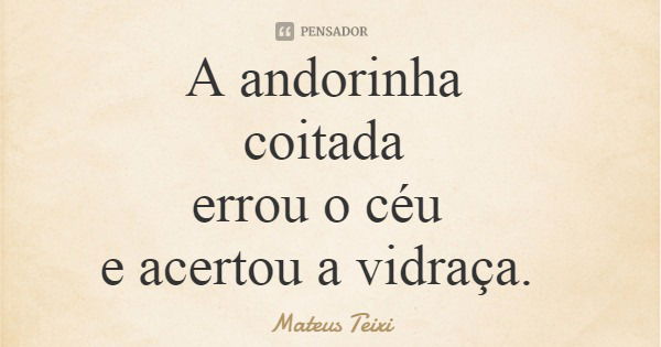 A andorinha coitada errou o céu e acertou a vidraça.... Frase de Mateus Teixi.