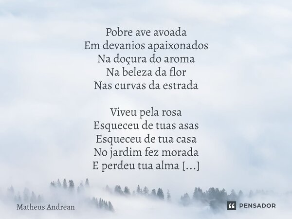 ⁠Pobre ave avoada Em devanios apaixonados Na doçura do aroma Na beleza da flor Nas curvas da estrada Viveu pela rosa Esqueceu de tuas asas Esqueceu de tua casa ... Frase de Matheus Andrean.