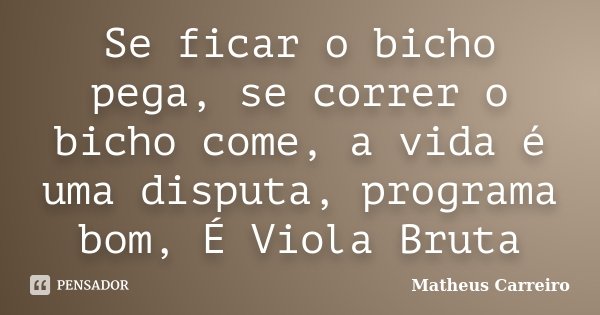Se ficar o bicho pega, se correr o bicho come, a vida é uma disputa, programa bom, É Viola Bruta... Frase de Matheus Carreiro.