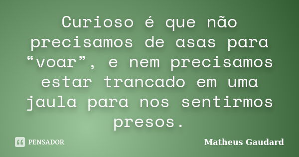 Curioso é que não precisamos de asas para “voar”, e nem precisamos estar trancado em uma jaula para nos sentirmos presos.... Frase de Matheus Gaudard.