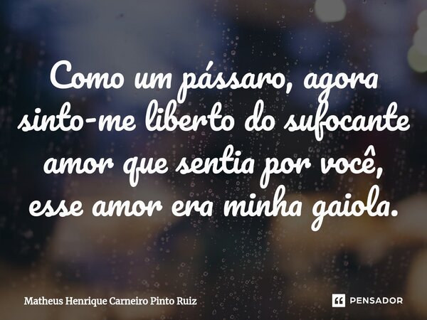 ⁠Como um pássaro, agora sinto-me liberto do sufocante amor que sentia por você, esse amor era minha gaiola.... Frase de Matheus Henrique Carneiro Pinto Ruiz.