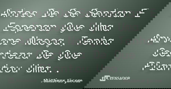 Antes De Se Sentar E Esperar Que Uma Arvore Nasça, Tenha Certeza De Que Plantou Uma..... Frase de Matheus Jacom.
