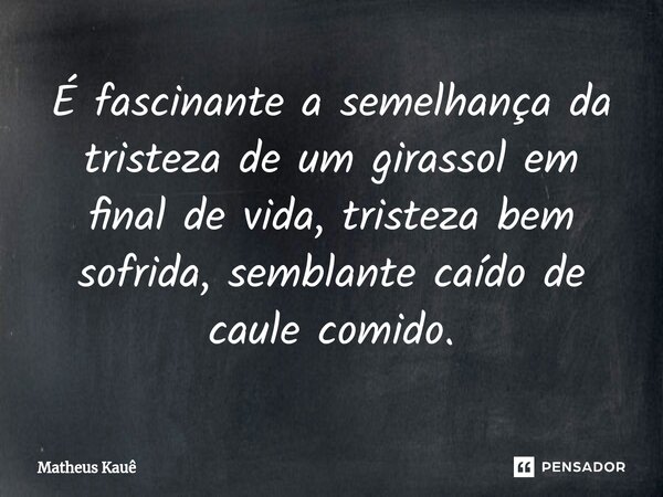 ⁠É fascinante a semelhança da tristeza de um girassol em final de vida, tristeza bem sofrida, semblante caído de caule comido.... Frase de Matheus kaue.