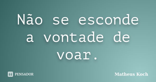 Não se esconde a vontade de voar.... Frase de Matheus Koch.