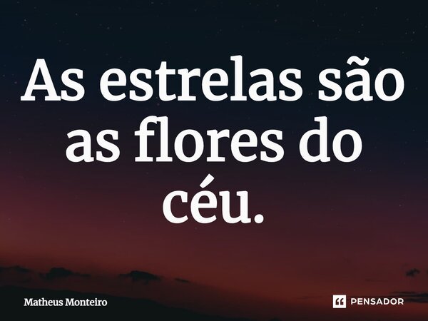 ⁠As estrelas são as flores do céu.... Frase de Matheus Monteiro.