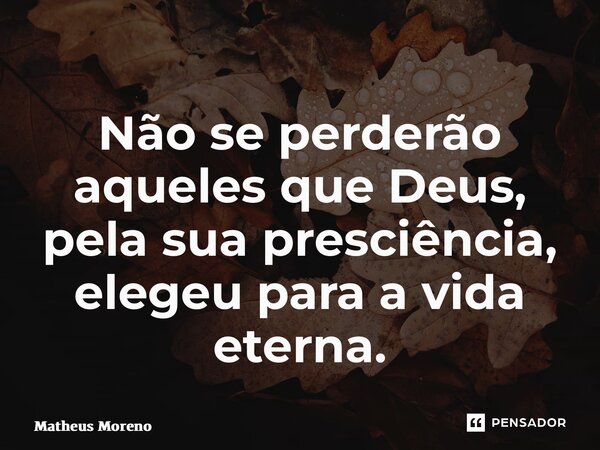 ⁠Não se perderão aqueles que Deus, pela sua presciência, elegeu para a vida eterna.... Frase de Matheus Moreno.