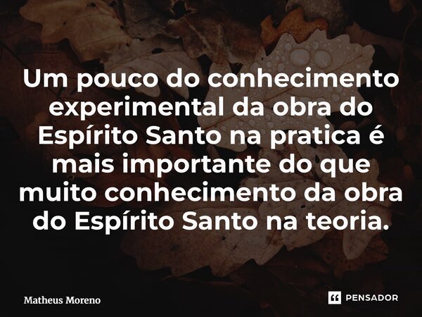 ⁠Um pouco do conhecimento experimental da obra do Espírito Santo na pratica é mais importante do que muito conhecimento da obra do Espírito Santo na teoria.... Frase de Matheus Moreno.