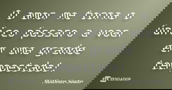 O amor me torna o único pássaro a voar em uma grande tempestade!... Frase de Matheus Souto.