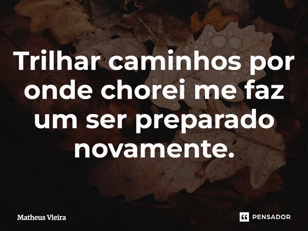 ⁠⁠Trilhar caminhos por onde chorei me faz um ser preparado novamente.... Frase de Matheus Vieira.