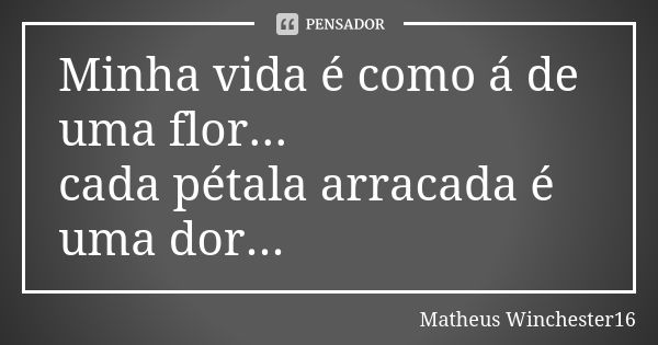 Minha vida é como á de uma flor... cada pétala arracada é uma dor...... Frase de Matheus Winchester16.