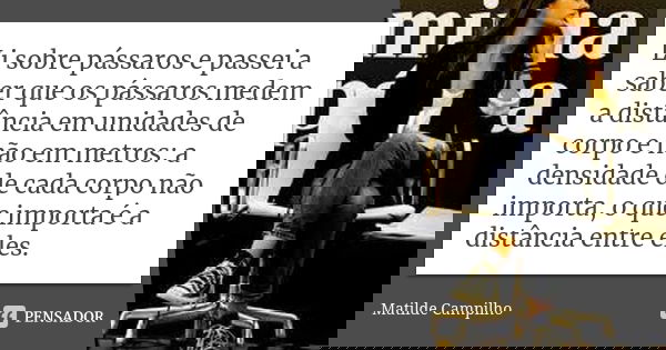 Li sobre pássaros e passei a saber que os pássaros medem a distância em unidades de corpo e não em metros: a densidade de cada corpo não importa, o que importa ... Frase de Matilde Campilho.