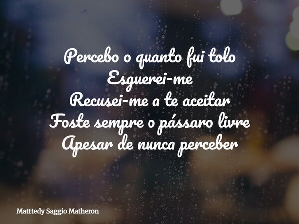 Percebo o quanto fui tolo Esguerei-me Recusei-me a te aceitar Foste sempre o pássaro livre Apesar de nunca perceber... Frase de Matttedy Saggio Matheron.