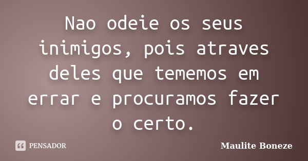 Nao odeie os seus inimigos, pois atraves deles que tememos em errar e procuramos fazer o certo.... Frase de Maulite boneze.