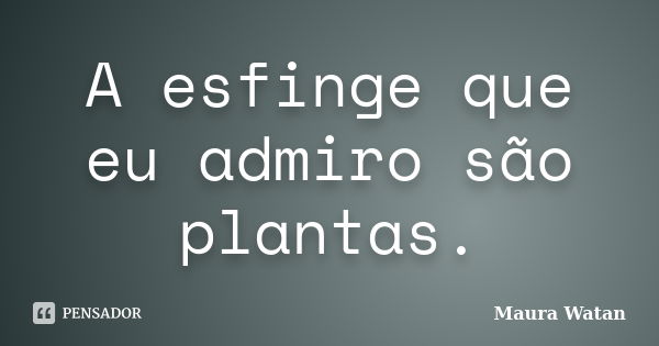 A esfinge que eu admiro são plantas.... Frase de Maura Watan.