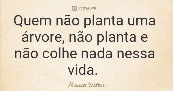 Quem não planta uma árvore, não planta e não colhe nada nessa vida.... Frase de Maura Watan.