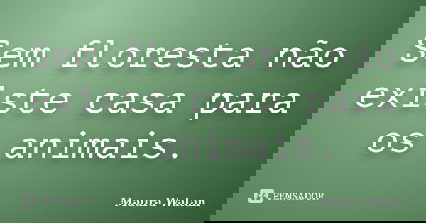 Sem floresta não existe casa para os animais.... Frase de Maura Watan.