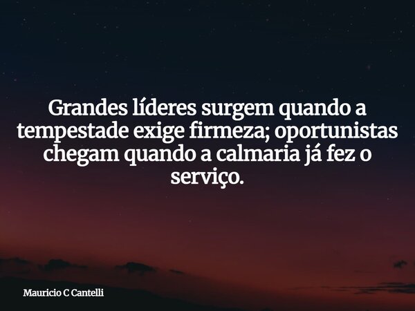 Grandes líderes surgem quando a tempestade exige firmeza; oportunistas chegam quando a calmaria já fez o serviço.... Frase de Mauricio C Cantelli.