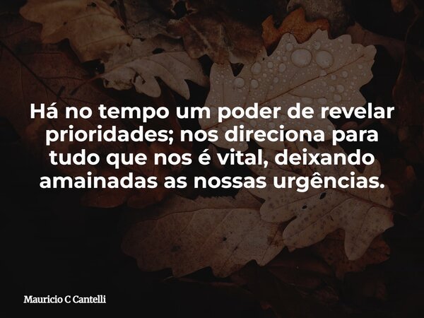 Há no tempo um poder de revelar prioridades; nos direciona para tudo que nos é vital, deixando amainadas as nossas urgências.... Frase de Mauricio C Cantelli.