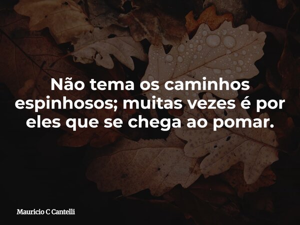 Não tema os caminhos espinhosos; muitas vezes é por eles que se chega ao pomar.... Frase de Mauricio C Cantelli.