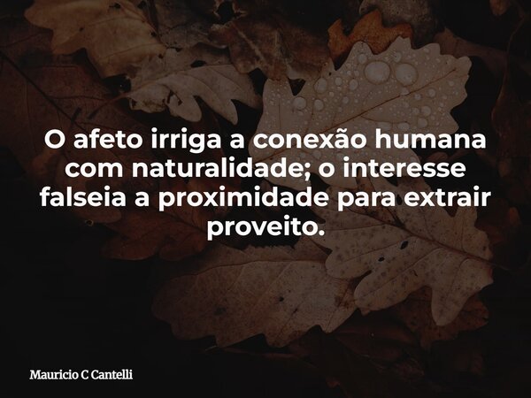 O afeto irriga a conexão humana com naturalidade; o interesse falseia a proximidade para extrair proveito.... Frase de Mauricio C Cantelli.