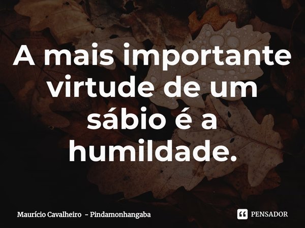 ⁠A mais importante virtude de um sábio é a humildade.... Frase de Maurício Cavalheiro - Pindamonhangaba.