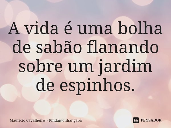 ⁠A vida é uma bolha de sabão flanando sobre um jardim de espinhos.... Frase de Maurício Cavalheiro - Pindamonhangaba.