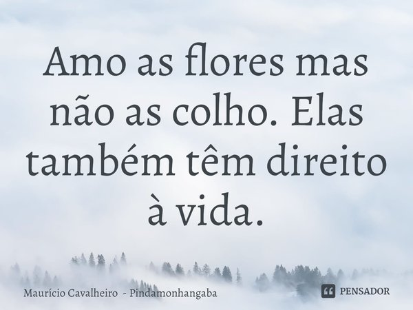 ⁠Amo as flores mas não as colho. Elas também têm direito à vida.... Frase de Maurício Cavalheiro - Pindamonhangaba.