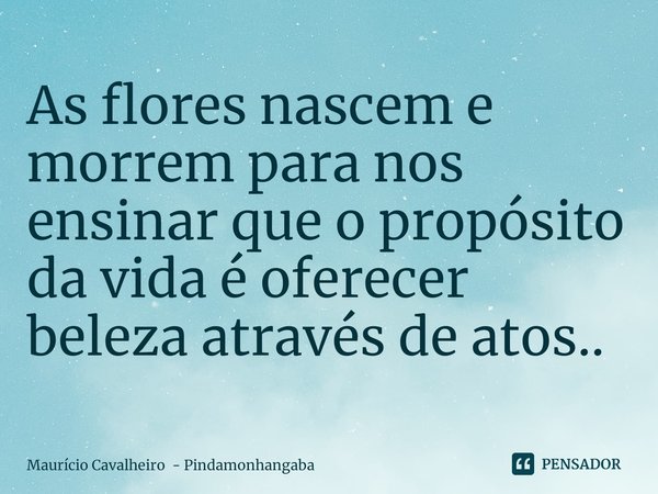 ⁠As flores nascem e morrem para nos ensinar que o propósito da vida é oferecer beleza através de atos..... Frase de Maurício Cavalheiro - Pindamonhangaba.