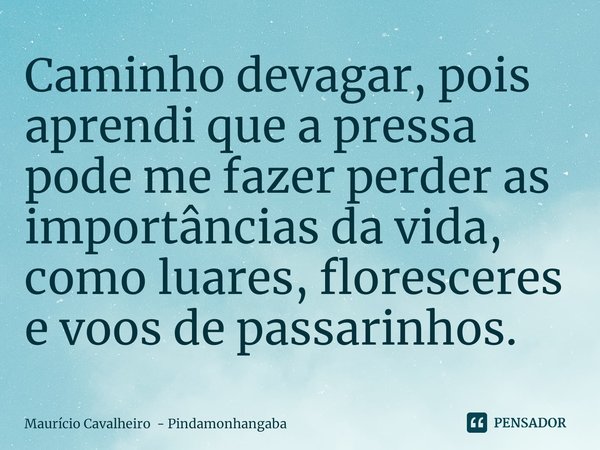 ⁠Caminho devagar, pois aprendi que a pressa pode me fazer perder as importâncias da vida, como luares, floresceres e voos de passarinhos.... Frase de Maurício Cavalheiro - Pindamonhangaba.