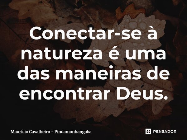 ⁠Conectar-se à natureza é uma das maneiras de encontrar Deus.... Frase de Maurício Cavalheiro - Pindamonhangaba.