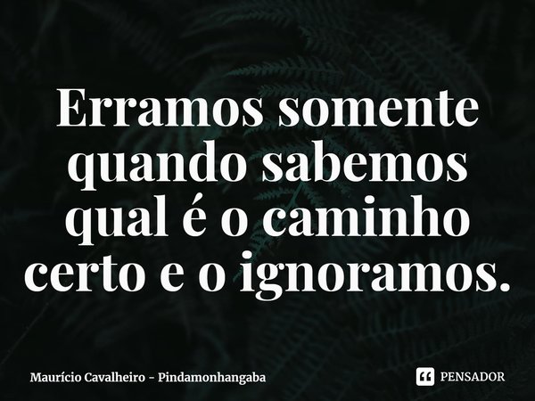 ⁠Erramos somente quando sabemos qual é o caminho certo e o ignoramos.... Frase de Maurício Cavalheiro - Pindamonhangaba.