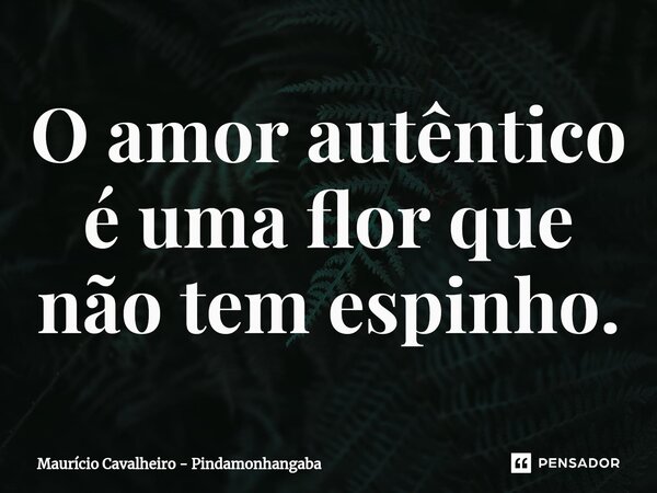 ⁠O amor autêntico é uma flor que não tem espinho.... Frase de Maurício Cavalheiro - Pindamonhangaba.