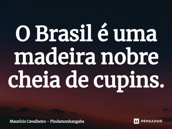 ⁠O Brasil é uma madeira nobre cheia de cupins.... Frase de Maurício Cavalheiro - Pindamonhangaba.