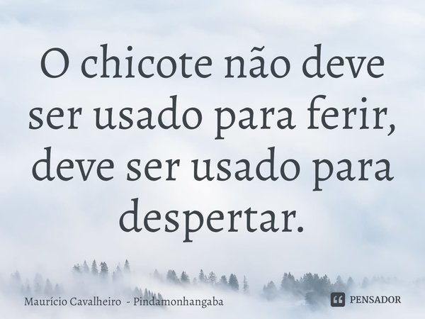 ⁠O chicote não deve ser usado para ferir, deve ser usado para despertar.... Frase de Maurício Cavalheiro - Pindamonhangaba.