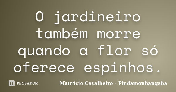 O jardineiro também morre quando a flor só oferece espinhos.... Frase de Maurício Cavalheiro - Pindamonhangaba.