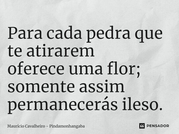 ⁠Para cada pedra que te atirarem oferece uma flor; somente assim permanecerás ileso.... Frase de Maurício Cavalheiro - Pindamonhangaba.
