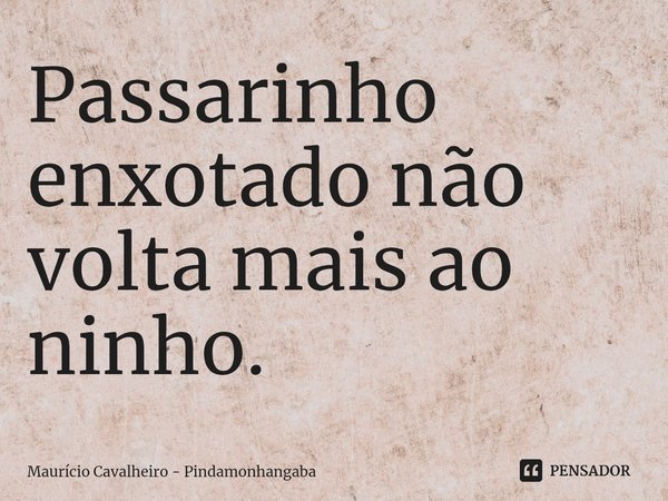 ⁠Passarinho enxotado não volta mais ao ninho.... Frase de Maurício Cavalheiro - Pindamonhangaba.