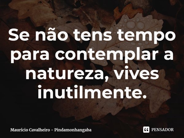 ⁠Se não tens tempo para contemplar a natureza, vives inutilmente.... Frase de Maurício Cavalheiro - Pindamonhangaba.