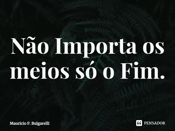 Não Importa os meios só o Fim.⁠... Frase de Mauricio P. Bulgarelli.
