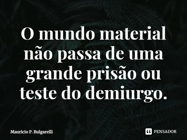 O mundo material não passa de uma grande prisão ou teste do demiurgo.⁠... Frase de Mauricio P. Bulgarelli.