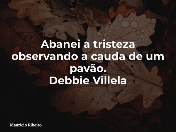 Abanei a tristeza observando a cauda de um pavão. Debbie Villela... Frase de Maurício Ribeiro.