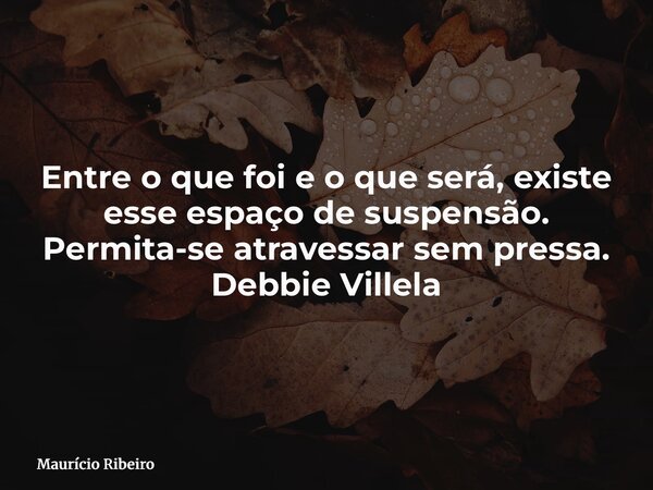 Entre o que foi e o que será, existe esse espaço de suspensão. Permita-se atravessar sem pressa. Debbie Villela... Frase de Maurício Ribeiro.